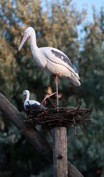 Decorative nest with two storks in summer day