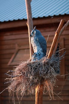 Decorative nest with an owl and cobwebs in summer evening