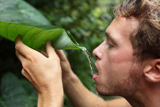 Survival - man drinking rain water from leaf in rainforest jungle.