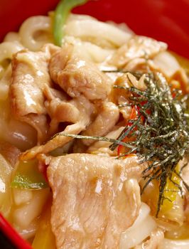 pork slice  and udon-noodle.Japanese cuisine