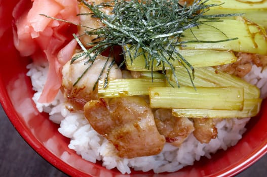 Chicken with rice and bamboo.Japanese Food 