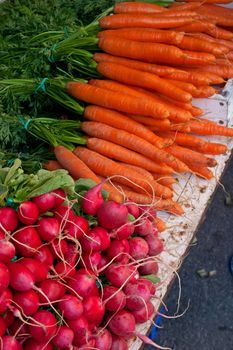 Carrot and Radish at the local market