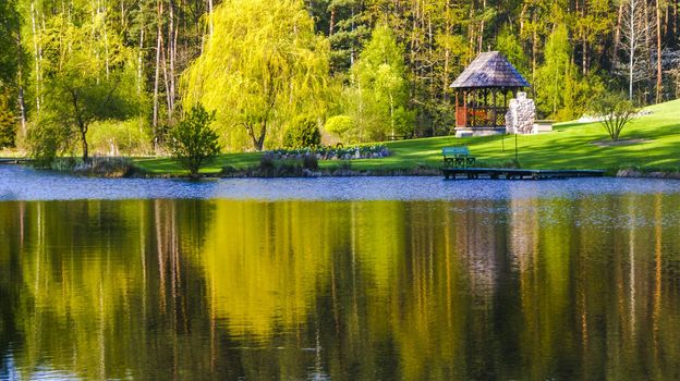 An image of House in the middle of forest