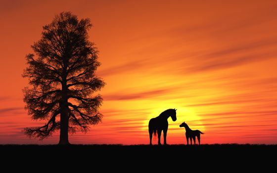 This image shows an idyllic sunset with horse and foal