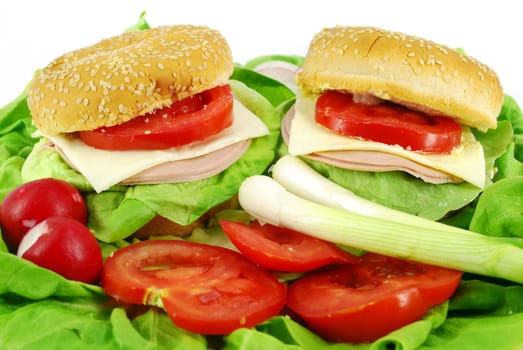Big sandwich with salami cheese and vegetables