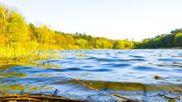 An image of lake bank in the summer
