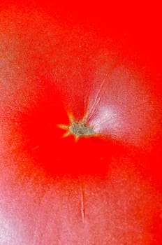 An image of macro tomato