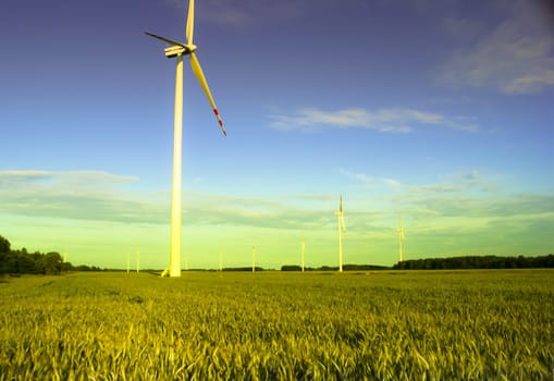 An image of wind farm