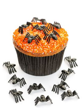Halloween cupcake with decoration isolated on white
