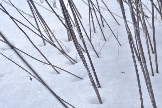 An image if snow background