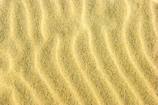 An image of veach sands