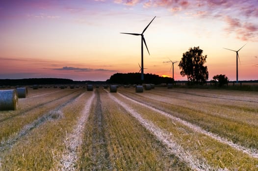 An image of wind farm