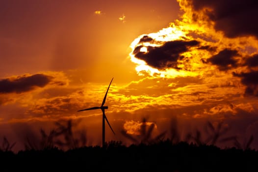 An image of wind farm