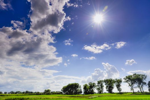 An image of landscape during spring