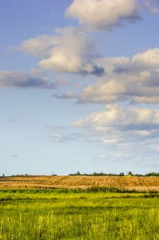 An image of landscape during spring