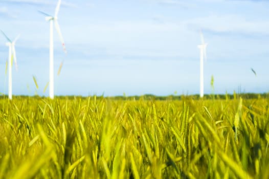 An image of wind farm