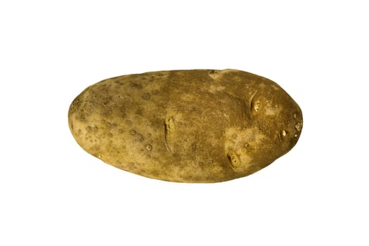 Isolated potato on white