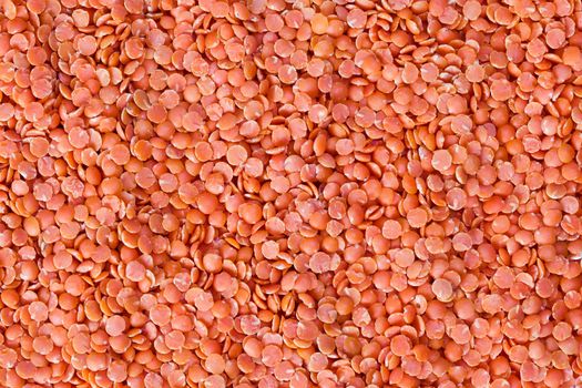Red organic lentils  textured background