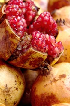 close up image of Pomegranate