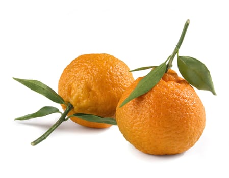 Two tangerines with green leaf on the white background