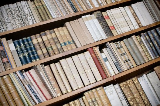 Antique Books in a wooden Bookshelf