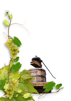 vine leaves and grapes for wine in a fast food