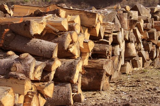 Logs cut in stacked for firewood
