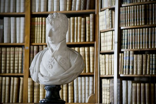 Antique Bust in front of a Bookshelf