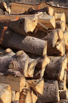 Logs cut in stacked for firewood