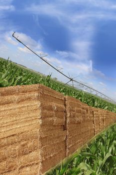 layout of bales of straw, and combine corn field with a signed purchase agreement by a commercial