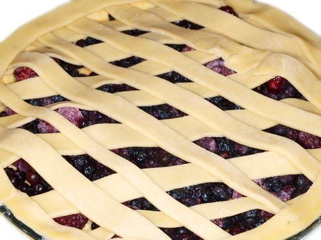 Fresh dark blue berry pie, covered with shortcrust pastry