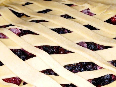 Fresh dark blue berry pie, covered with shortcrust pastry