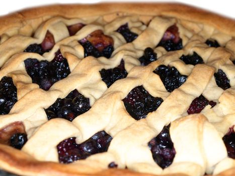 Fresh dark blue berry pie, covered with shortcrust pastry