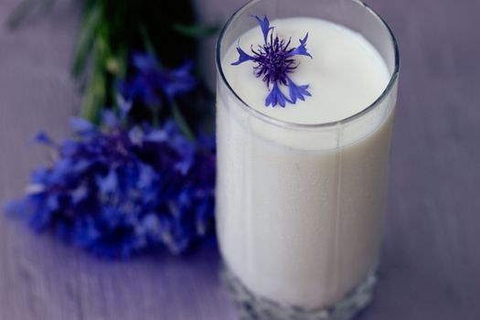 glass of milk and a bouquet of cornflowers on a purple table