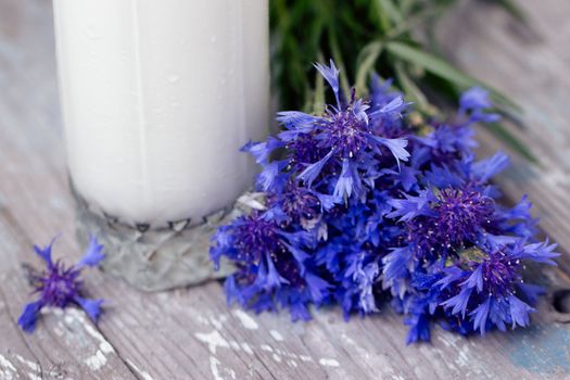 glass of milk and a bouquet of cornflowers on a purple table