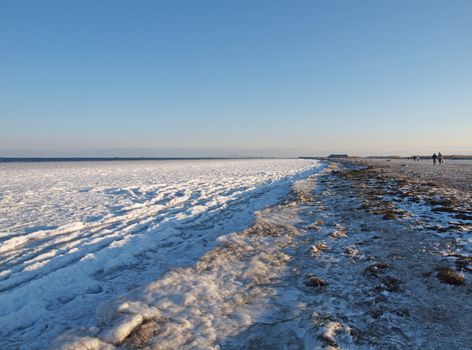 frozen shoreline of amager beach in copenhagen denmark