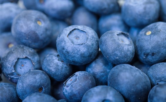 Fresh Blueberries, macro