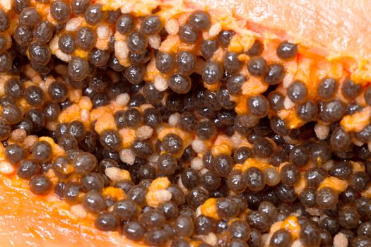 Seed Fresh Papaya closeup