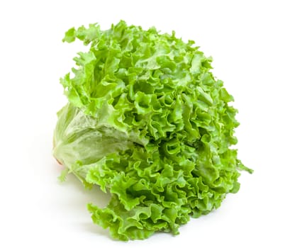 Fresh Salad Lettuce on white background