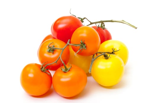 Multicolored Ripe Fresh Tomatoes on Branch on white background