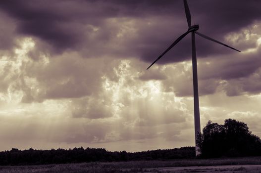 Windmills during sunset in summer time