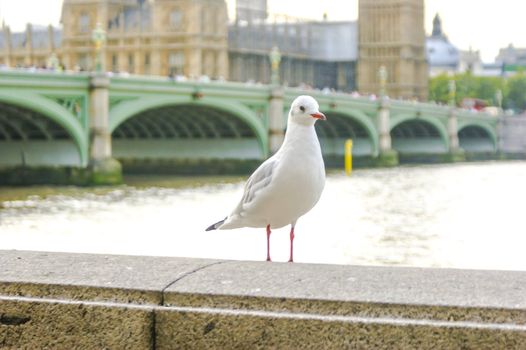 An image of historical achitecture in London UK
