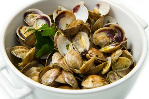 white bowl of clams soup with parsley on white background