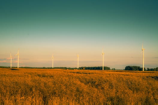 An image of windturbines at dusk