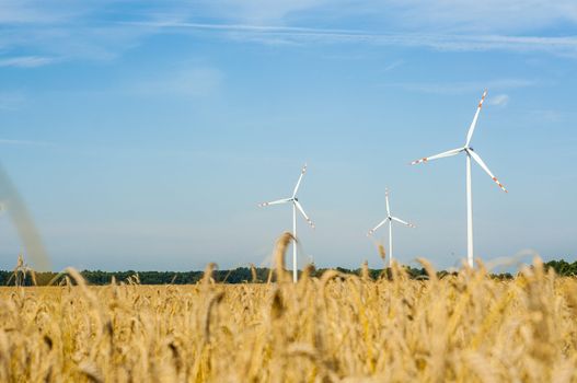 Windturbines in the summer time. 