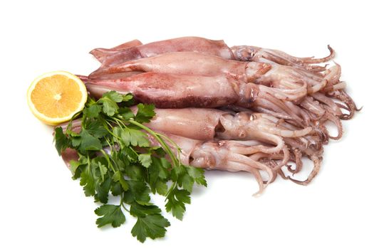 a group of fresh squid with lemon and parsley isolated on white
