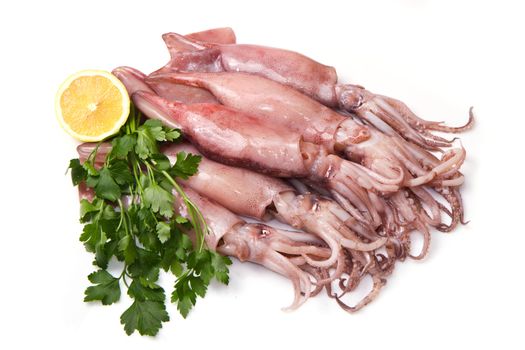 a group of fresh squid with lemon and parsley isolated on white