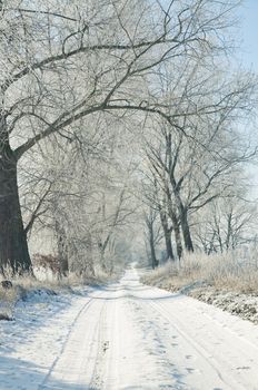 An image of ground road in winter