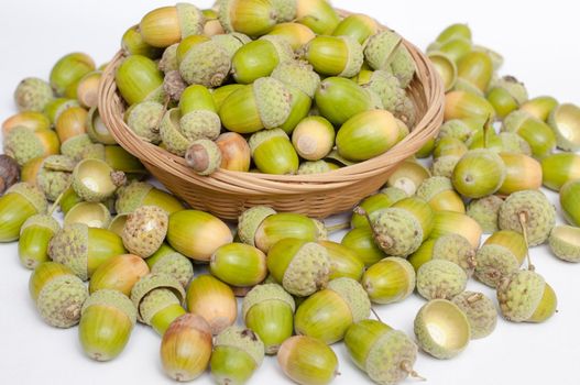 An image of haycorns