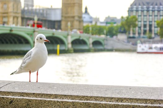 An image of historical achitecture in London UK